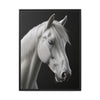 Silent Majesty_framed canvas