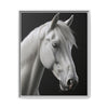 Silent Majesty_framed canvas