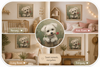 Little Love – Puppy with a Rose Framed Wall Art